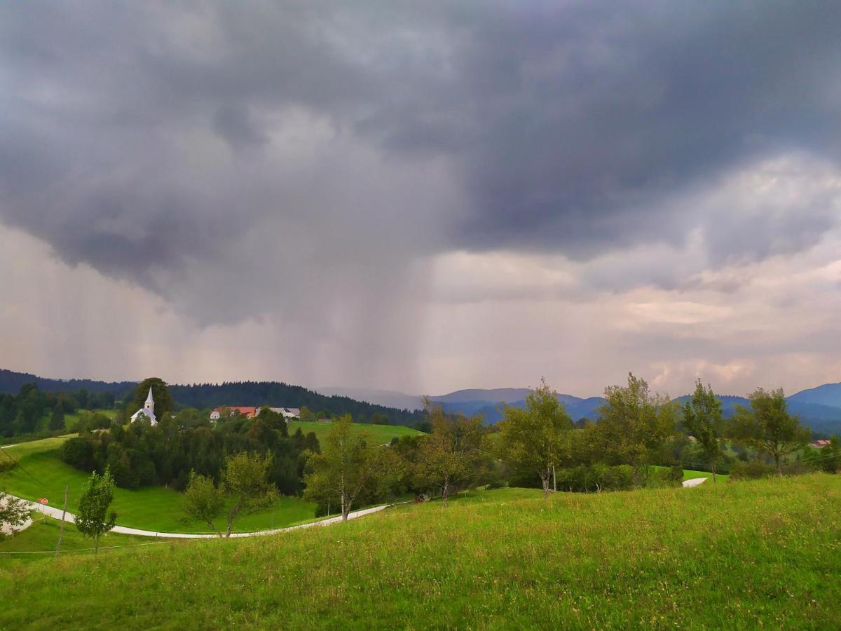 Villa Tourist Farm Strle Cerknica Exterior foto