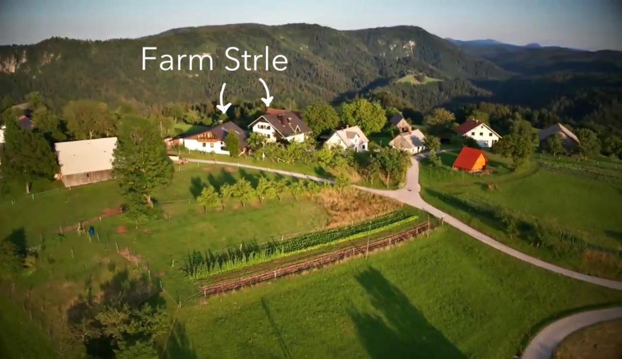 Villa Tourist Farm Strle Cerknica Exterior foto