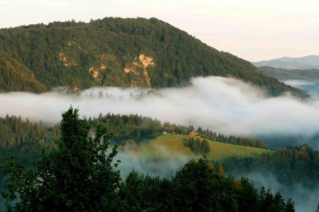 Villa Tourist Farm Strle Cerknica Exterior foto